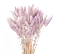 sourcing map 120pcs Natural Rabbit Bunny Tails Dried Flowers 17" Mini Pampas Grass Lagurus Ovatus Bunch for Floral Wedding Decor Christmas, Gradient Dark Purple