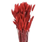 sourcing map 120pcs Natural Rabbit Bunny Tails Dried Flowers 17" Mini Pampas Grass Lagurus Ovatus Bunch for Floral Wedding Decor Christmas, Red