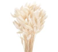 sourcing map 120pcs Natural Rabbit Bunny Tails Dried Flowers 17" Mini Pampas Grass Lagurus Ovatus Bunch for Floral Wedding Decor Christmas, White