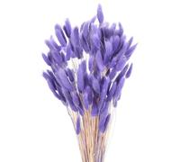 sourcing map 120pcs Natural Rabbit Bunny Tails Dried Flowers 17" Mini Pampas Grass Lagurus Ovatus Bunch for Floral Wedding Decor Christmas, Dark Purple