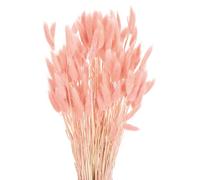sourcing map 120pcs Natural Rabbit Bunny Tails Dried Flowers 17" Mini Pampas Grass Lagurus Ovatus Bunch for Floral Wedding Decor Christmas, Orange