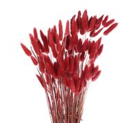 sourcing map 120pcs Natural Rabbit Bunny Tails Dried Flowers 24" Mini Pampas Grass Lagurus Ovatus Bunch for Floral Wedding Decor Christmas, Red
