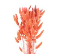 sourcing map 120pcs Natural Rabbit Bunny Tails Dried Flowers 24" Mini Pampas Grass Lagurus Ovatus Bunch for Floral Wedding Decor Christmas, Orange