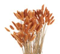 sourcing map 120pcs Natural Rabbit Bunny Tails Dried Flowers 24" Mini Pampas Grass Lagurus Ovatus Bunch for Floral Wedding Decor Christmas, Dark Orange