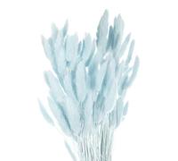 sourcing map 120pcs Natural Rabbit Bunny Tails Dried Flowers 24" Mini Pampas Grass Lagurus Ovatus Bunch for Floral Wedding Decor Christmas, Pale Blue