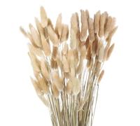 sourcing map 120pcs Natural Rabbit Bunny Tails Dried Flowers 24" Mini Pampas Grass Lagurus Ovatus Bunch for Floral Wedding Decor Christmas, Beige