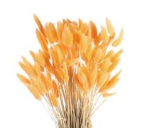 sourcing map 120pcs Natural Rabbit Bunny Tails Dried Flowers 24" Mini Pampas Grass Lagurus Ovatus Bunch for Floral Wedding Decor Christmas, Light Orange