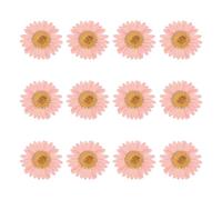 sourcing map 12Pcs Dried Pressed Flowers, 1-1.2" Colorful Dried Pressed Chrysanthemum Flowers Bulk for Nail Art Resin Jewelry Candle Card Making Scrapbook Phone Case Decoration, Pink