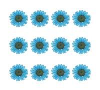 sourcing map 12Pcs Dried Pressed Flowers, 1-1.2" Colorful Dried Pressed Chrysanthemum Flowers Bulk for Nail Art Resin Jewelry Candle Card Making Scrapbook Phone Case Decoration, Dark Blue