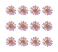 sourcing map 12Pcs Dried Pressed Flowers, 1-1.2" Colorful Dried Pressed Chrysanthemum Flowers Bulk for Nail Art Resin Jewelry Candle Card Making Scrapbook Phone Case Decoration, Light Purple