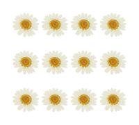 sourcing map 12Pcs Dried Pressed Flowers, 1-1.2" Colorful Dried Pressed Chrysanthemum Flowers Bulk for Nail Art Resin Jewelry Candle Card Making Scrapbook Phone Case Decoration, White