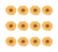sourcing map 12Pcs Dried Pressed Flowers, 1-1.2" Colorful Dried Pressed Chrysanthemum Flowers Bulk for Nail Art Resin Jewelry Candle Card Making Scrapbook Phone Case Decoration, Orange