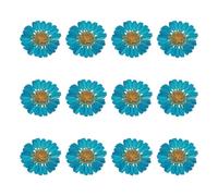 sourcing map 12Pcs Dried Pressed Flowers, 1-1.2" Colorful Dried Pressed Chrysanthemum Flowers Bulk for Nail Art Resin Jewelry Candle Card Making Scrapbook Phone Case Decoration, Blue