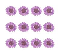 sourcing map 12Pcs Dried Pressed Flowers, 1-1.2" Colorful Dried Pressed Chrysanthemum Flowers Bulk for Nail Art Resin Jewelry Candle Card Making Scrapbook Phone Case Decoration, Dark Purple