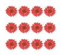 sourcing map 12Pcs Dried Pressed Flowers, 1-1.2" Colorful Dried Pressed Chrysanthemum Flowers Bulk for Nail Art Resin Jewelry Candle Card Making Scrapbook Phone Case Decoration, Crimson