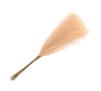 sourcing map 15Pcs Faux Pampas Grass,21"/55cm Fake Pampas Grass Decor for Living Room Party Wall Vase Wedding Decoration,Dark Beige