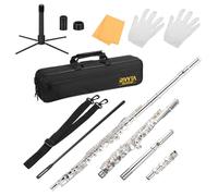 sourcing map 17 Keys C Flutes, Open/Closed Hole with B Foot Joint, Offset G & Split E Key Flute for Professional Performance, with Case, Stand, Cleaning Kit