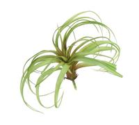 sourcing map 1Pcs Artificial Succulent Plants Fake Pineapple Grass, 8 Inch Large Faux Succulents Unpotted Real Touch for DIY Home Wedding Garden Office Outdoor Floral Decoration, Green