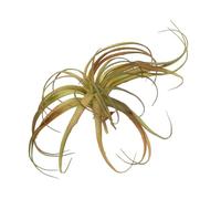 sourcing map 1Pcs Artificial Succulent Plants Fake Pineapple Grass, 8 Inch Large Faux Succulents Unpotted Real Touch for DIY Home Wedding Garden Office Outdoor Decor, Green/Red Brown