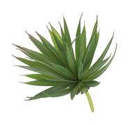 sourcing map 1Pcs Artificial Succulent Plants Fake Sword Plant, 7.5 Inch Large Faux Succulents Unpotted Real Touch for DIY Home Wedding Garden Office Outdoor Floral Decoration, Green