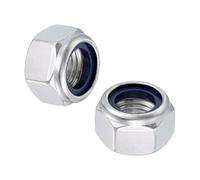 sourcing map 2 Pcs M20x2.5mm Nylon Insert Lock Nuts, 304 Stainless Steel Self-Locking Coarse Thread Hex Nuts Fasteners for Furniture, Electronic, Machine, DIY