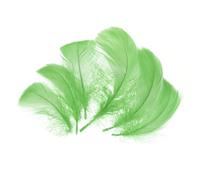 sourcing map 200 Pcs Apple Green Craft Feathers, 3-5 Inch Colored Feathers for Crafting, Fluffy Feather Bulk for DIY Crafts, Dream Catcher Supplies, Wedding Party Decoration