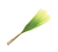 sourcing map 20Pcs Faux Pampas Grass,21"/55cm Fake Pampas Grass Decor for Living Room Party Wall Vase Wedding Decoration,Gradual Green