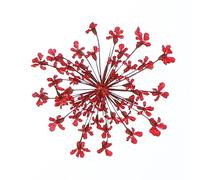 sourcing map 24Pcs Dried Pressed Flowers, 2-2.5 Cm/0.8-1" Real Dried Pressed Lace Flowers Bulk for Nail Art Resin Jewelry Candle Card Making Scrapbook Phone Case Decoration, Dark Red