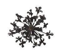 sourcing map 24Pcs Dried Pressed Flowers, 2-2.5 Cm/0.8-1" Real Dried Pressed Lace Flowers Bulk for Nail Art Resin Jewelry Candle Card Making Scrapbook Phone Case Decoration, Black