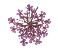 sourcing map 24Pcs Dried Pressed Flowers, 2-2.5 Cm/0.8-1" Real Dried Pressed Lace Flowers Bulk for Nail Art Resin Jewelry Candle Card Making Scrapbook Phone Case Decoration, Purple