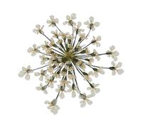 sourcing map 24Pcs Dried Pressed Flowers, 2-2.5 Cm/0.8-1" Real Dried Pressed Lace Flowers Bulk for Nail Art Resin Jewelry Candle Card Making Scrapbook Phone Case Decoration, White