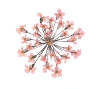 sourcing map 24Pcs Dried Pressed Flowers, 2-2.5 Cm/0.8-1" Real Dried Pressed Lace Flowers Bulk for Nail Art Resin Jewelry Candle Card Making Scrapbook Phone Case Decoration, Light Pink