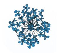 sourcing map 24Pcs Dried Pressed Flowers, 2-2.5 Cm/0.8-1" Real Dried Pressed Lace Flowers Bulk for Nail Art Resin Jewelry Candle Card Making Scrapbook Phone Case Decoration, Dark Blue