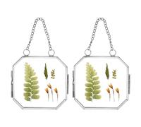 sourcing map 2Pcs Mini Hanging Glass Frame, 3 Inch Clear Brass Pressed Flower Frame with Chain Octagon Floating Picture Frames Double Glass for Artwork Photo, Silver