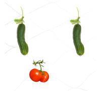 sourcing map 2pcs Trellis Netting for Climbing Plants 2m x 100m 6 Strands Heavy Duty Garden Polyethylene Plant Support Net with 20cm x 20cm Mesh for Fruits Vegetables Cucumber, White Green