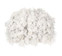 sourcing map 3 oz Preserved Reindeer Moss, White Decorative Artificial Fake Moss for Potted Plants Indoor Crafts Lichen Centerpieces Decor