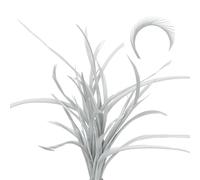sourcing map 30 Pcs Fly Tying Feathers Bulk, 5.1-6.7 Inch Colorful Stonefly Split Tails and Down Wings Tails Materials Goose Biots Feathers for DIY HandCrafts, Silver