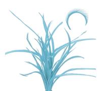 sourcing map 30 Pcs Fly Tying Feathers Bulk, 5.1-6.7 Inch Colorful Stonefly Split Tails and Down Wings Tails Materials Goose Biots Feathers for DIY HandCrafts, Cyan Blue
