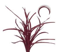 sourcing map 30 Pcs Fly Tying Feathers Bulk, 5.1-6.7 Inch Colorful Stonefly Split Tails and Down Wings Tails Materials Goose Biots Feathers for DIY HandCrafts, Dark Red
