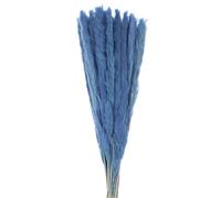 sourcing map 30pcs Natural Rabbit Bunny Tails Dried Flowers 16"-17" Mini Pampas Lagurus Ovatus Bunch for Floral Wedding Decor Christmas, Blue