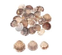 sourcing map 30Pcs Scallop Shells, 1.6"-2" Natural Sea Shells Seashell Bulk for DIY Painting Fish Tank Landscape Beach Theme Party Wedding and Home Decoration, Brown