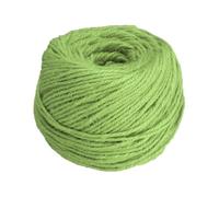 sourcing map 328 Feet Natural Jute Twine String,3mm Thin Garden Twine Rope Colored Plant String Cord for DIY Art Crafts Gift Wrapping Decoration Packing Gardening Plant Hanger,Light Green