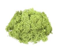 sourcing map 3oz Preserved Reindeer Moss, Bright Green Decorative Artificial Fake Moss for Potted Plants Indoor Crafts Lichen Centerpieces Decor