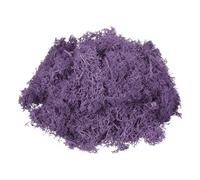 sourcing map 3oz Preserved Reindeer Moss, Dark Purple Decorative Artificial Fake Moss for Potted Plants Indoor Crafts Lichen Centerpieces Decor
