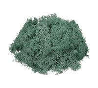 sourcing map 3oz Preserved Reindeer Moss, Grass Green Decorative Artificial Fake Moss for Potted Plants Indoor Crafts Lichen Centerpieces Decor