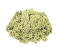 sourcing map 3oz Preserved Reindeer Moss, Light Bright Green Decorative Artificial Fake Moss for Potted Plants Indoor Crafts Lichen Centerpieces Decor