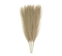 sourcing map 3pcs Dried Faux Pampas Grass 17 Inch Artificial Fake Fluffy Pampas Grass Decor for Fall Home Vase Floor Table Wedding Decorations, Brown