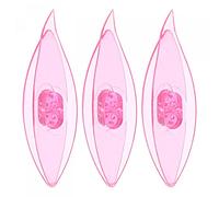 sourcing map 3pcs Tatting Shuttles 77x21x11mm Colorful Plastic Shuttles for Lace-Making DIY Hand Craft Tool Knitting Arts Supplies Transparent Pink