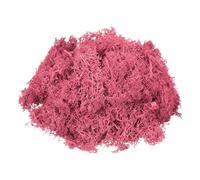 sourcing map 4.6oz Preserved Reindeer Moss, Dark Pink Decorative Artificial Fake Moss for Potted Plants Indoor Crafts Lichen Centerpieces Decor