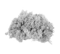sourcing map 4.6oz Preserved Reindeer Moss, Light Grey Decorative Artificial Fake Moss for Potted Plants Indoor Crafts Lichen Centerpieces Decor